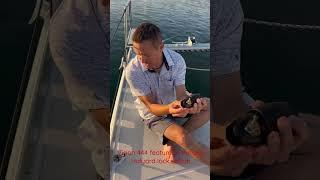 @visionyachts2882 Vision 444 feature of the day: Halyard lock option