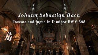 Bach: Toccata & Fugue in D minor BWV 565 | Benjamin Alard