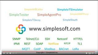 SimpleSoft Company Introduction