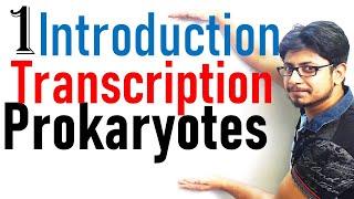 Transcription in prokaryotes introduction | Transcription lecture 1