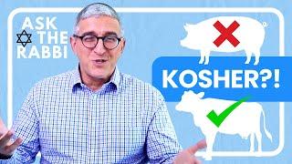 Kosher Explained in less than 3 Minutes | Ask The Rabbi