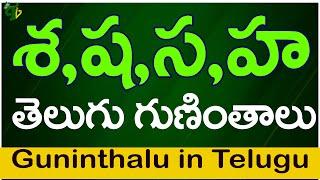 శ ష స హ గుణింతాలు | Sa Sha Sa Ha guninthalu |How to write Telugu varnamala guninthalu