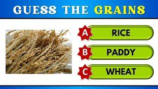 Guess the Grains with choices | Multiple Choice Quiz | Learn Entry