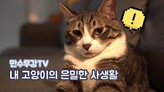 내 고양이의 은밀한 사생활 (하루사용설명서-만수무강TV)