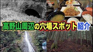 【高野山】和歌山県・高野町にある穴場巡り｜謎のトンネル｜絶品のとんかつ｜大迫力の滝