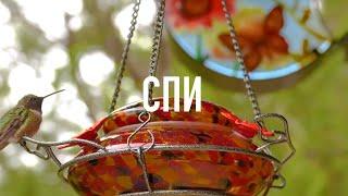 СПИ С БИБЛИЕЙ: Обрети Покой и Вдохновение в Божьем Слове