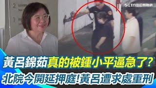 黃呂錦茹真的被鍾小平逼急了？＂幽靈連署案＂起訴5人 黃呂錦茹遭求處重刑! 北院今開延押庭｜94要賺錢