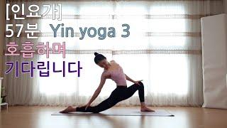 [1035][모두] 57분 인요가 | 더 깊게 바라보는 시간 Yin Yoga 3 | 심신의 안정