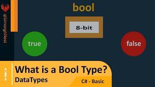 C# Tutorial - Basic - 069 - Bool Type