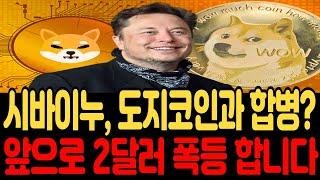 [시바이누 코인 전망]도지코인과 합병? 앞으로 2달간 폭등 합니다 #시바이누#시바이누코인 #밈코인 #시바이누 #비트코인 #뉴스 #이더리움