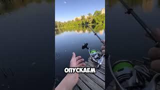 #fishing #микроджиг #рыбалка #вертушка