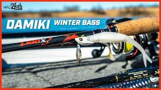 How to Damiki Rig Winter Bass | Ultimate Follow-up Bait?