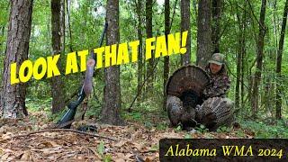 MID DAY Public Land Gobbler! (Alabama Season 2024)