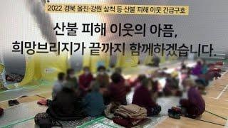 동해안 산불 피해 성금 460억 원...지원 시기는? / YTN 사이언스