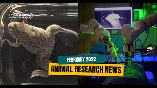 Animal Research News (February 2022)