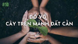 Câu chuyện đổ vỡ và cái cây trên mảnh đất cằn | Câu Chuyện Triệu Đô - Podcast #10