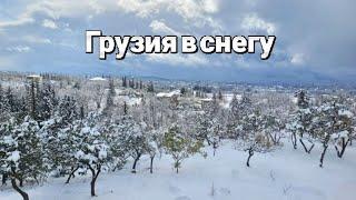 Грузия в снегу