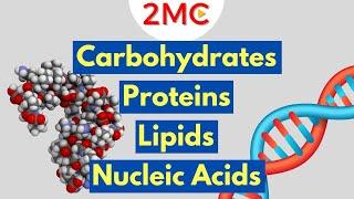 Macromolecules Explained | 2MC GIGAVID