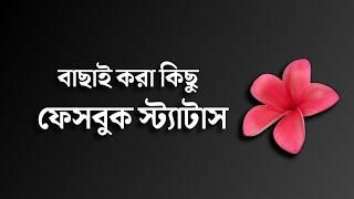 অসাধারণ কিছু ছোট ফেসবুক স্ট্যাটাস || New Facebook Status #status