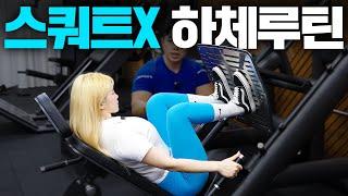 【하체루틴】 스쿼트 없는 헬스루틴! 초보자를 위한 헬스기구 최대활용 루틴