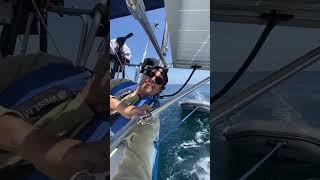 En route to Moonstone Cove #shorts #sailing