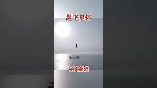 中国研制的火箭海上平台平稳降落