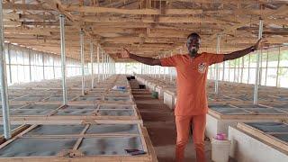 Smart Snail Farming: Rescuing a Failed Project with Precision Tools