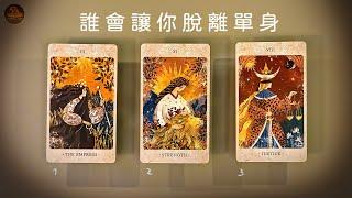 誰會讓你脫離單身 命運牽引之人已靠近  他正悄悄踏上前來找你的路 ️愛情占卜️適用任何時間季節 / CC(Sub)EN-JP-TC