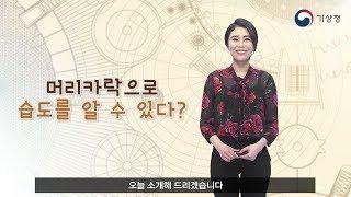 [숫자로보는날씨] 머리카락으로 습도를 알 수 있다?