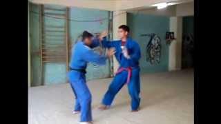 Jiu Jitsu Tradicional Ne-Fusen Ryu (Cuba)