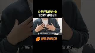 K원전 체코원전수출 원전계약 일시중단 소식? 어떻게 된걸까?!