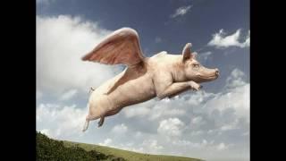 Flying Pigs Are Real