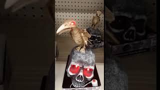 Skeleton Raven on a Skullhead