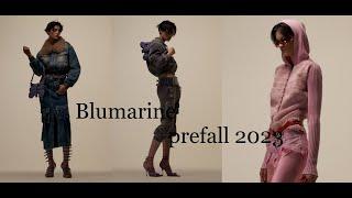 Blumarine prefall 2023. Clothes and accessories