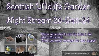 Night Stream December 26th 2024 | Bird Feeders, Wildlife Cameras Scotland UK from SWG