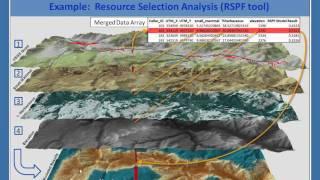Decision Support for the SHC and LCCs: Geospatial Data & Tools for Landscape Planning in EAGLES