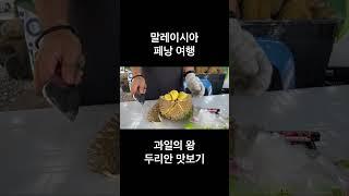 두리안 조지기 블랙쏜 두리안 과일의 왕 말레이시아 페낭 여행 #mukbang #food #music #foodie #디저트 #durianmusangking