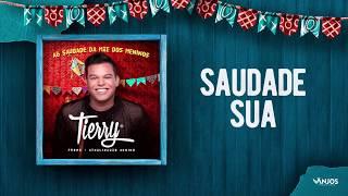 Tierry - Saudade Sua (Promocional - Atualizadão Junino)