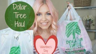 Dollar Tree Haul| Valentine's Day Decor + New Finds| Megan Navarro