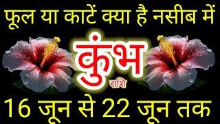 कुंभ राशि 🪐 16 जून से 22 जून तक, फूल या काटें क्या है नसीब में #June2025.#moonsign #aquarius