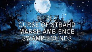 Berez | Curse of Strahd Music | Marsh Sounds | Swamp Ambience | Baba Lysaga | RPG | DND | Cthulhu