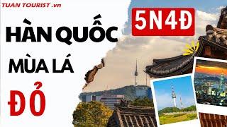  Review Du Lịch Hà Nội – Hàn Quốc Mùa Lá Đỏ: Seoul – Nami – Seoul Grand Park 5N4Đ | Tuấn Tourist