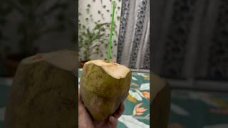 Life with vanshika day 5/50 #youtubeshorts #minivlog #lifewithvanshika