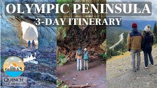 3 DAY ITINERARY OLYMPIC NATIONAL PARK, WA | Hurricane Ridge, Hoh Rainforest, Rialto & Second Beach