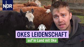 Oke und seine alte Technik: Kompost schreddern auf Amrum | NDR auf'm Land | Folge 8