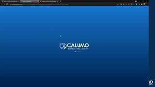 Reporting & Planning for Microsoft Dynamics with Calumo