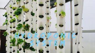 How To Build A Vertical Hydroponic System: A Simple, 4 Tower DIY Hydroponic Garden [Part 1] The Base