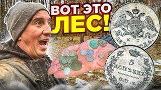 Нашли лес полный серебра! Откуда их столько здесь?! Показываю находки с металлоискателем Фрогман Б75