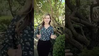 The Preserve quick facts | Hoover Alabama | Living in Birmingham Alabama suburb #shorts