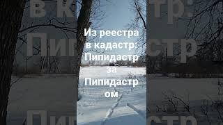 Пипидастр.